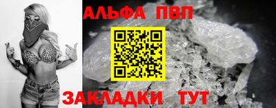 спиды Кингисепп