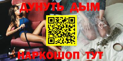 спиды Кингисепп