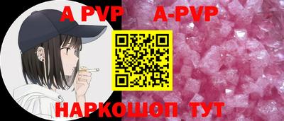 спиды Кингисепп