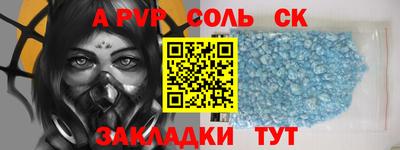 спиды Кингисепп