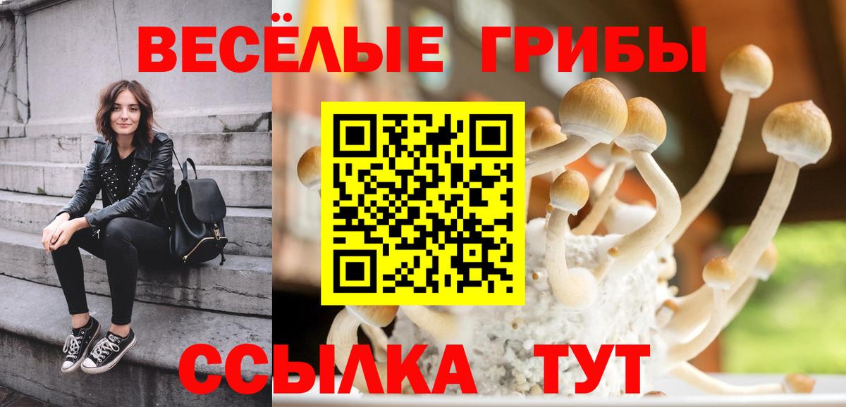 Псилоцибиновые грибы мухоморы  Вход с VPN  Красногорск 